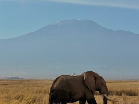 Axis Africa Safaris-内罗毕必去景点