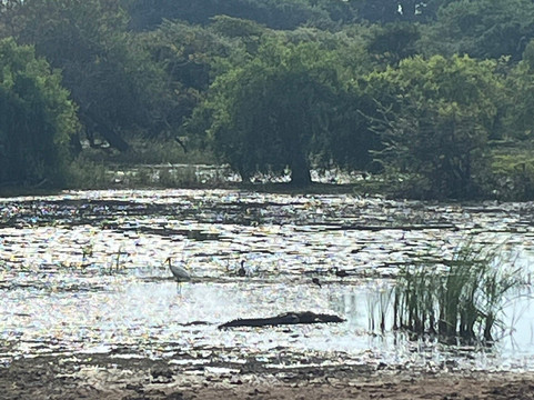 Spotting Trails-雅拉国家公园必去景点