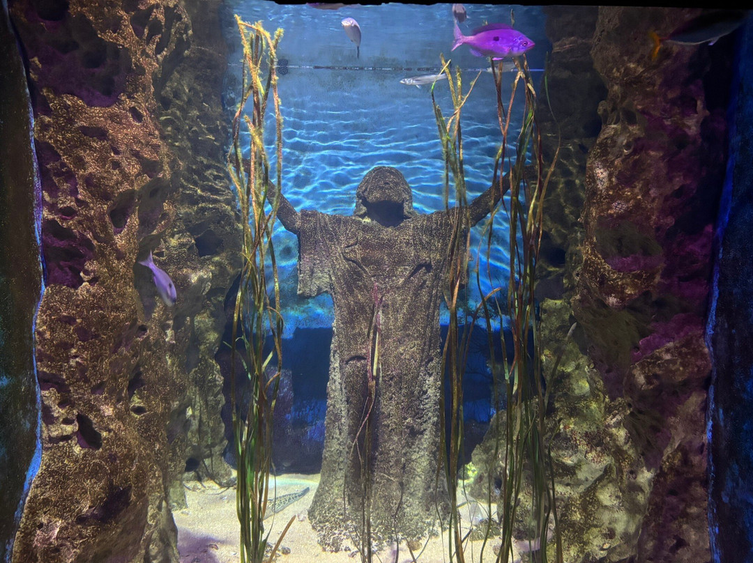 Malta National Aquarium-卡拉必去景点