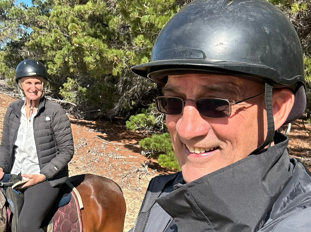 Horse Riding Tasmania-Woodsdale必去景点