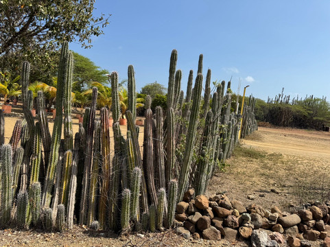 Washington-Slagbaai National Park Visitor Center Museum-Washington-Slagbaai National Park必去景点