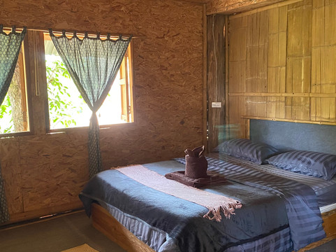 Elephant Freedom Village-清迈必去景点