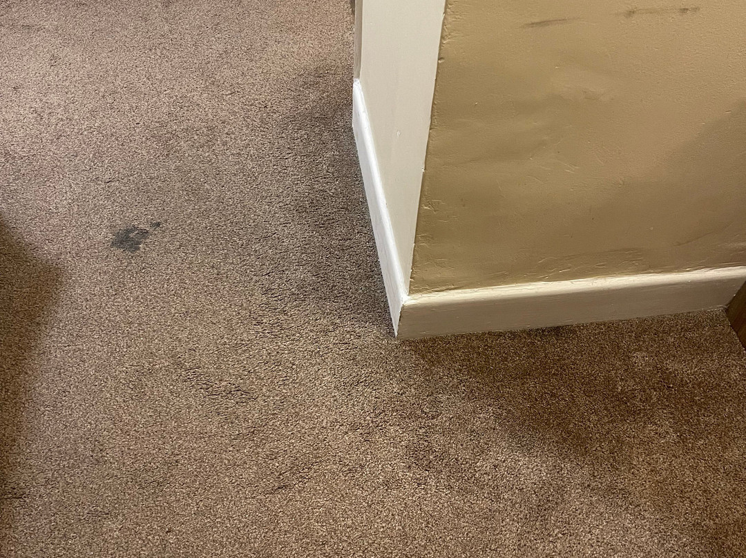 卡林顿豪斯酒店主图