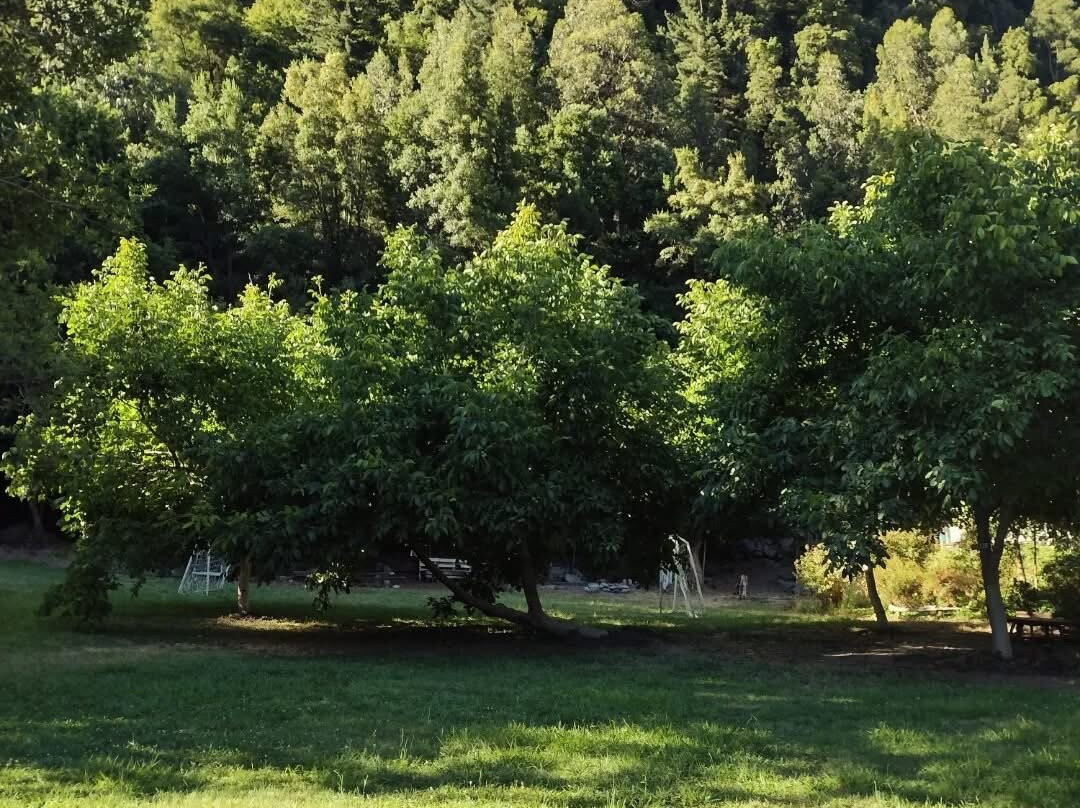 VALSHI Camping