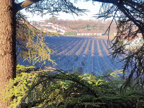 Relais des Roches主图