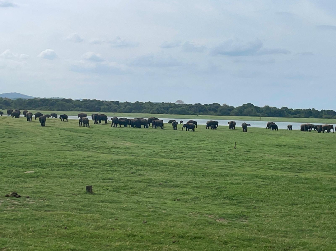 Sudath Safari and Tours Sri Lanka-锡吉里亚必去景点