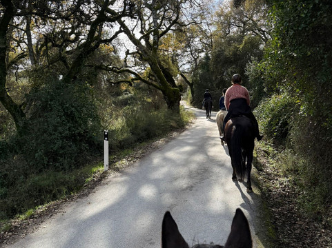 Caballos y Vino-隆达必去景点