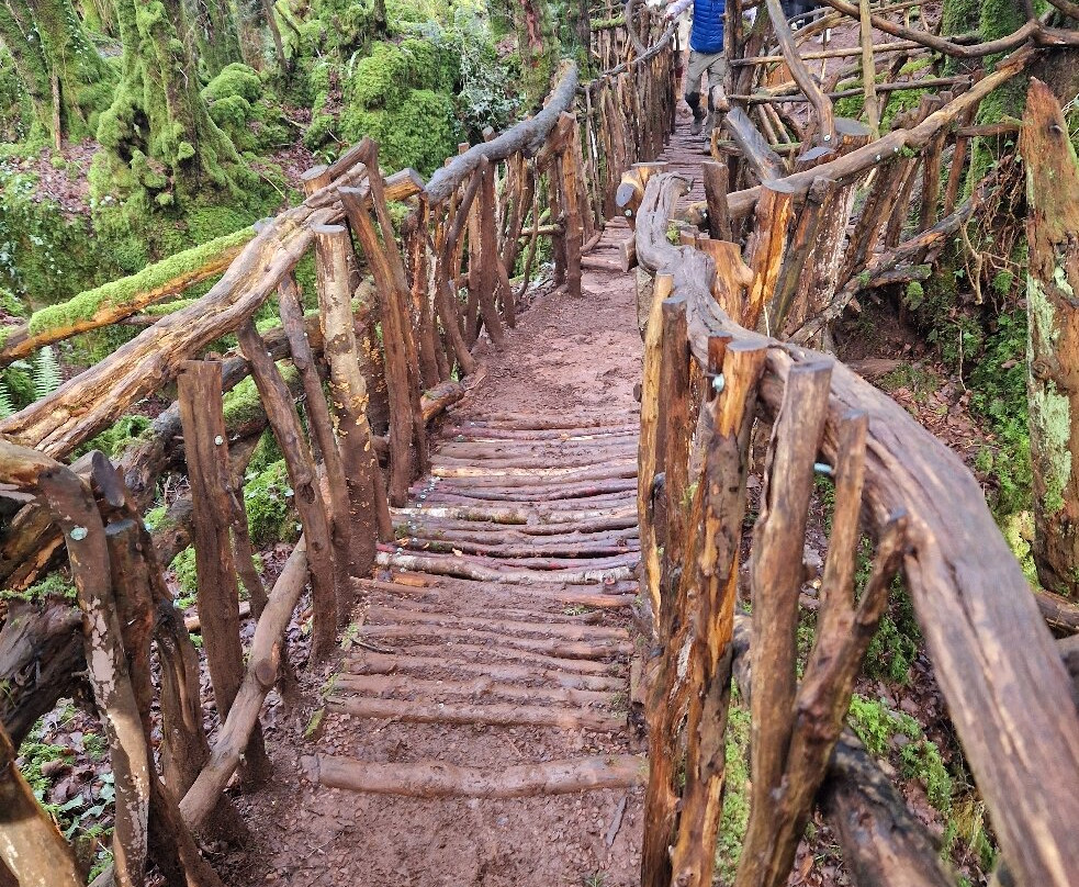 Puzzlewood-Coleford必去景点