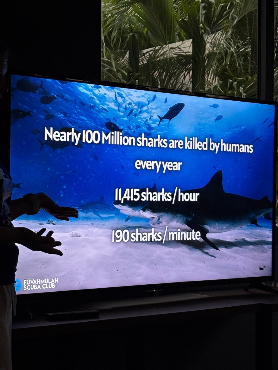 Fuvahmulah Scuba Club-官方