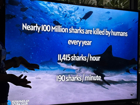 Fuvahmulah Scuba Club主图