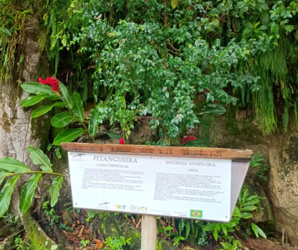 Museu Forte Defensor Perpetuo de  Paraty-帕拉地必去景点