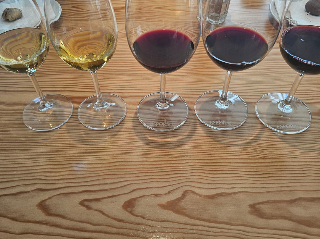 Herdade do Esporao-Reguengos de Monsaraz必去景点