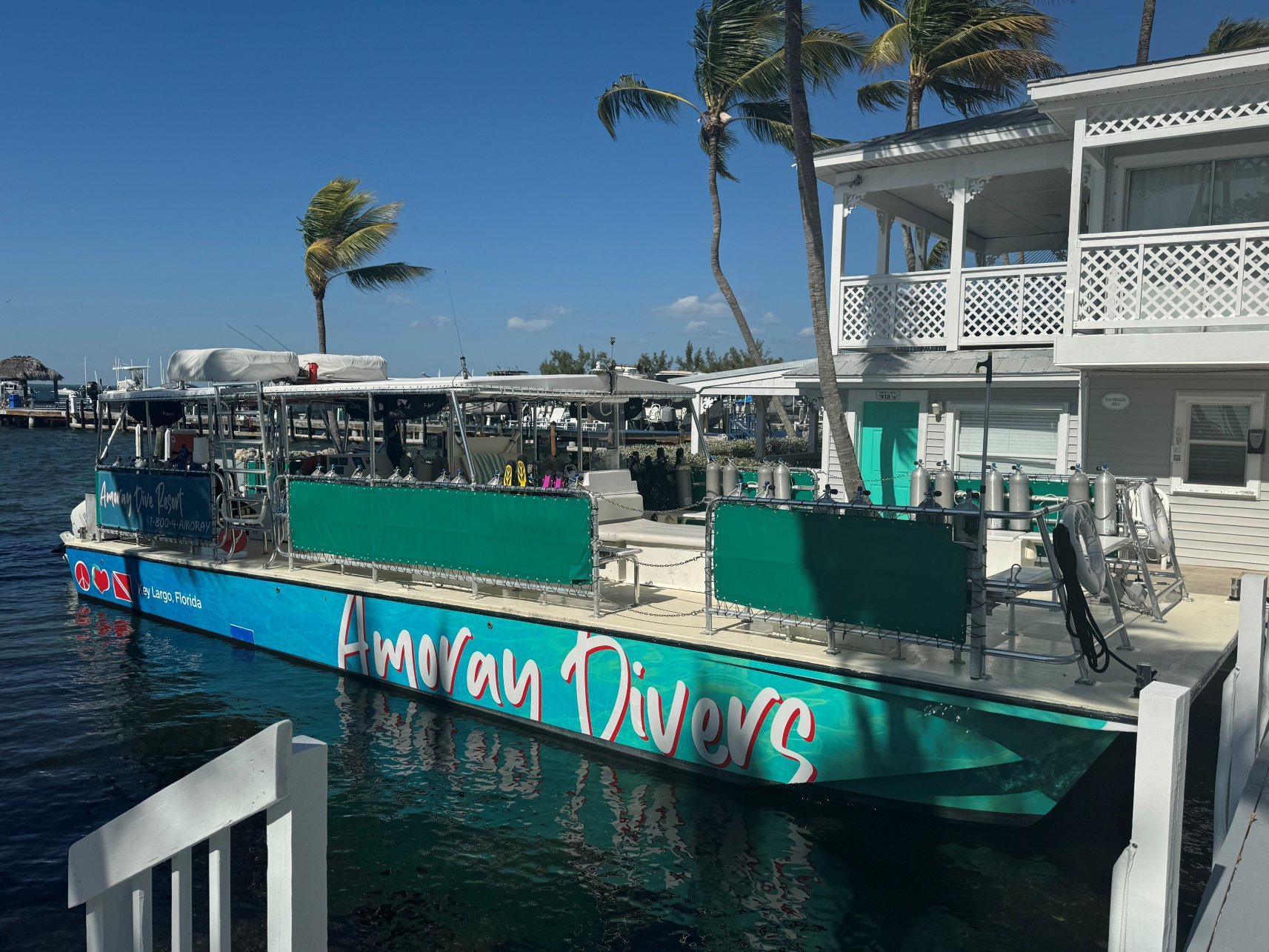 阿莫雷潜水度假村-泳池