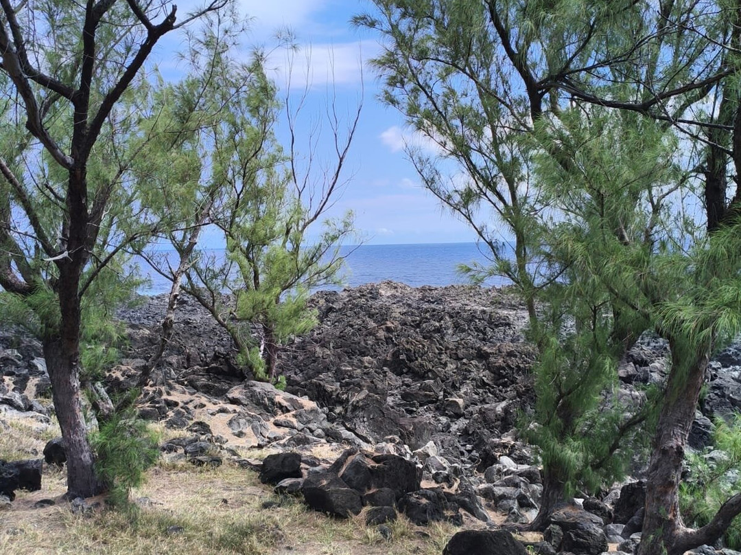 Le Gouffre De L'étang-salé-L'Etang-Sale必去景点