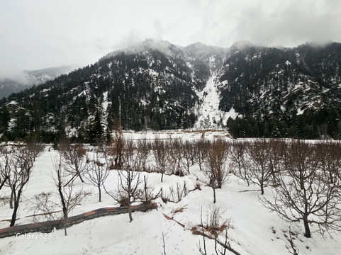 La Himalaya Expeditions-西姆拉必去景点