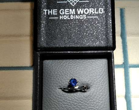 The Gem World Holdings