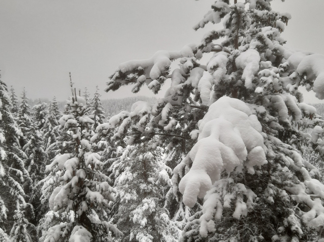 The Black horse Ski & Snowboard-帕泊洛沃必去景点