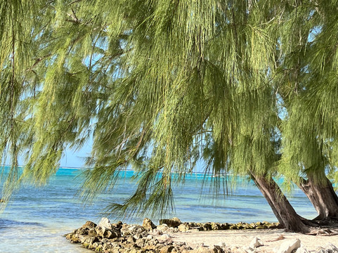 朗姆岬俱乐部公寓主图