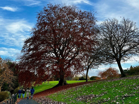 Maldron酒店Merrion路主图