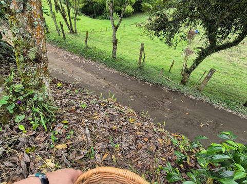 Rutas Cafeteras Tours-Circasia必去景点