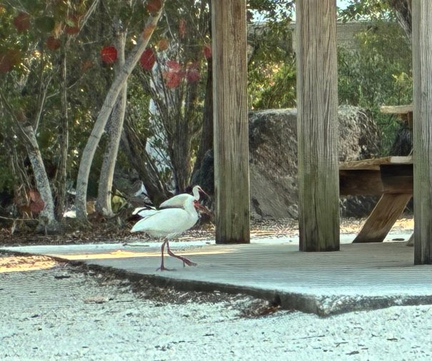 珊瑚礁之家度假村及码头-官方