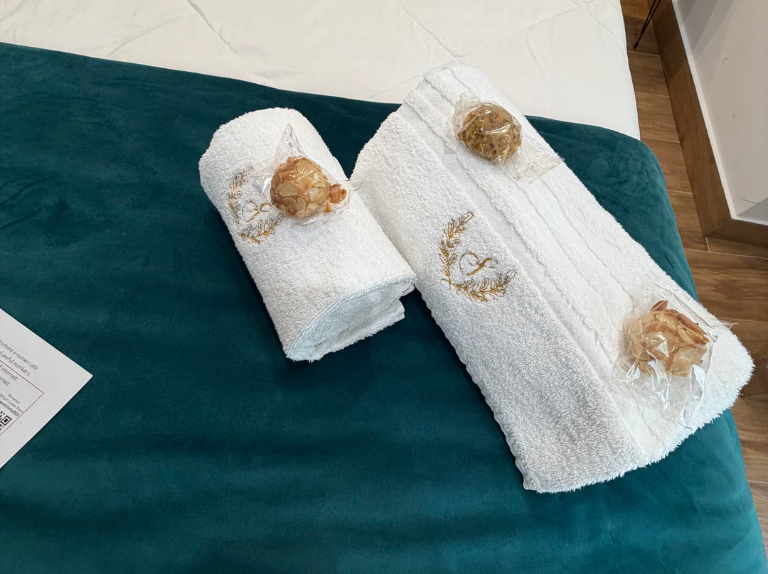 索菲中心客房