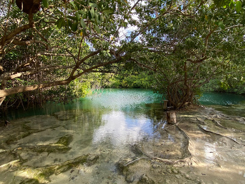 Infinity 2 Diving-图伦必去景点