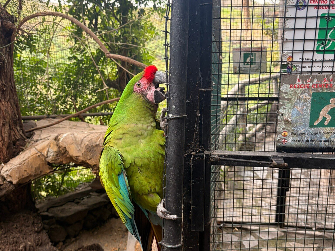 Maroparque Isla de La Palma-Brena Alta必去景点