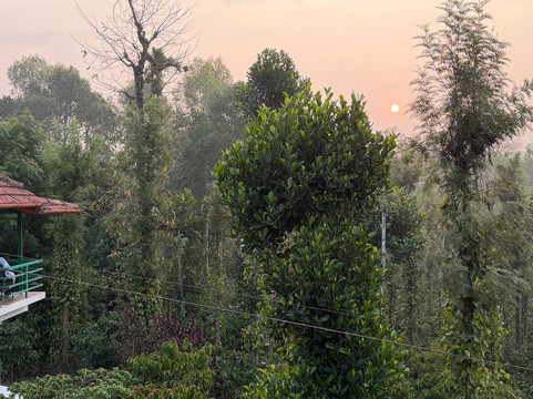 苏维斯塔拉瓦亚纳德酒店主图