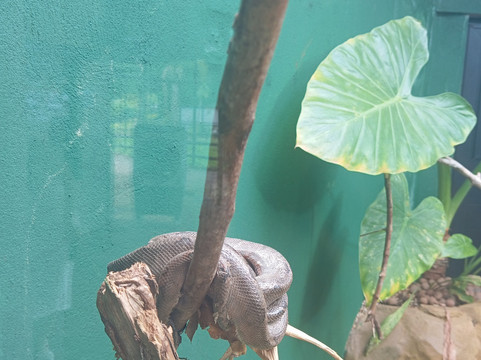 AquaFoz-伊瓜苏必去景点