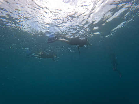 Scuba West Indies - Grenada-St. George's必去景点