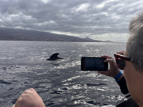 Flipper Uno-洛斯·吉甘特斯必去景点