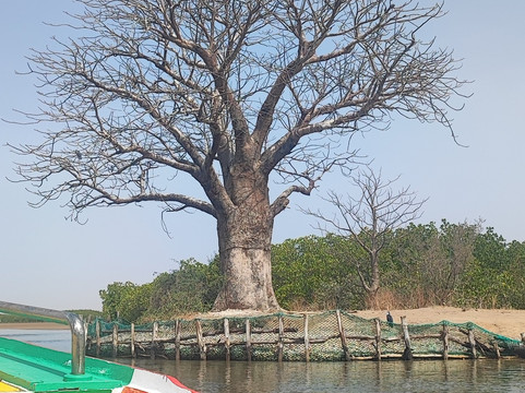 Iles du Saloum Decouverte-Ndangane必去景点
