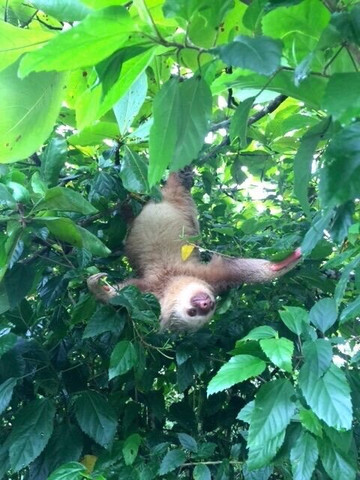 Deepgreen Eco tours-Naranjo必去景点