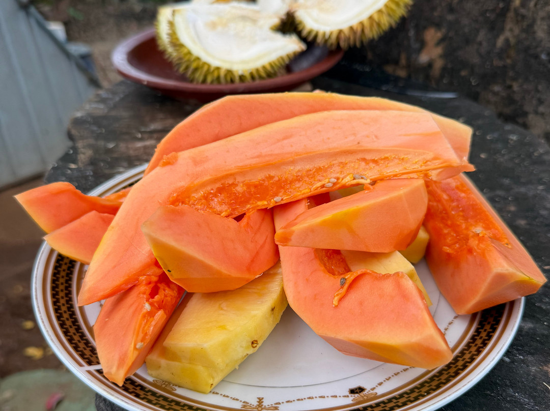 Travel Buddy-Kirindiwela必去景点