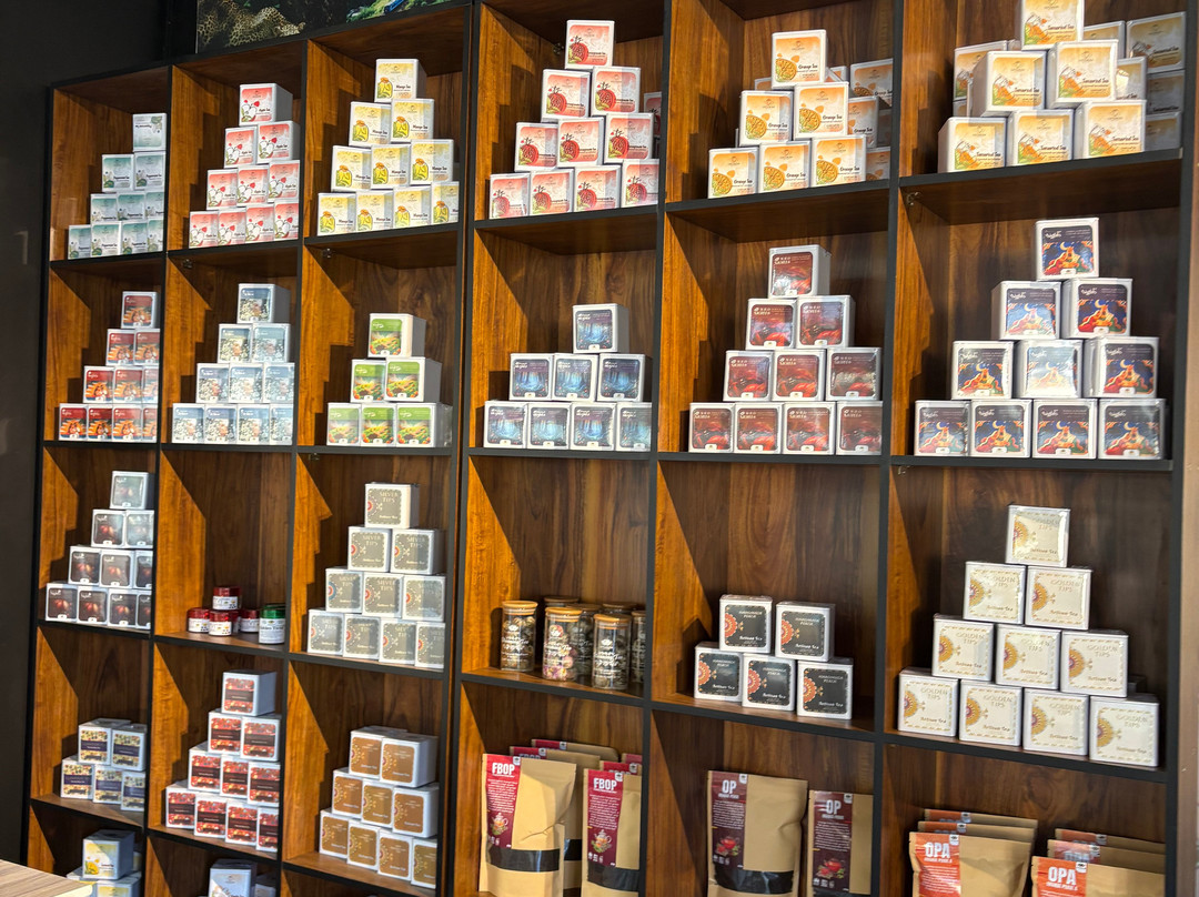 Camellia Tea Centre-Katukitula必去景点