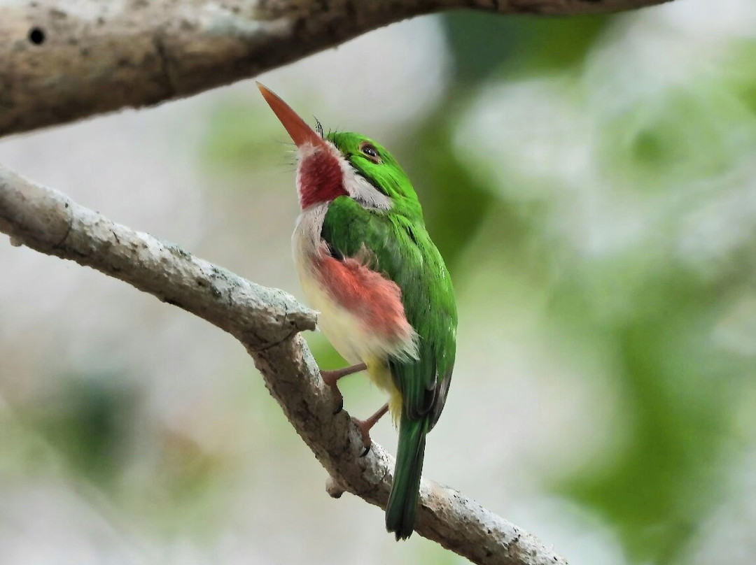 Jardin Botanico Nacional-Santo Domingo Province必去景点