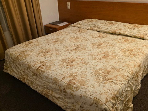 嘎基丽欧蒂主图