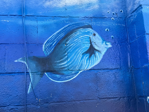 1 Fish 2 Fish Crabs & Seafood