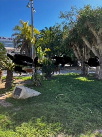 Ancla-阿尔特阿必去景点