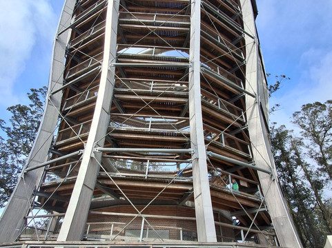 Treetop Walk Avondale-Rathdrum必去景点