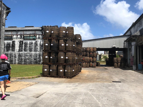 Mount Gay Rum Distillery-Benthams必去景点