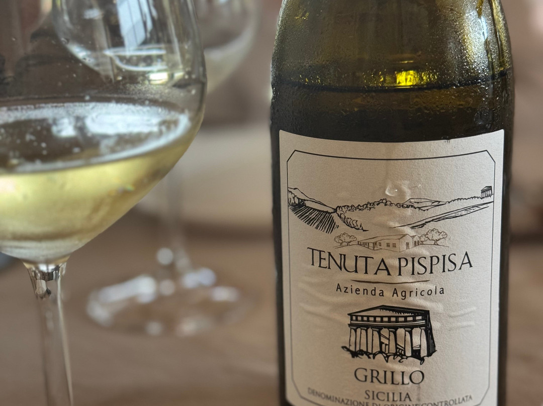 特纳特塞杰斯塔农家乐主图