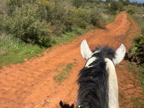Ride With Me, Ride In Spain-Coin必去景点