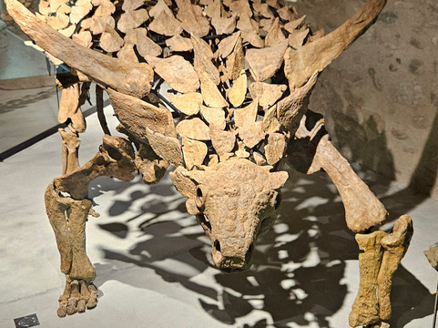Paléogalerie-Salignac必去景点