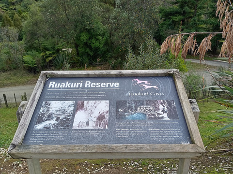 Ruakuri Walk-怀托摩洞穴必去景点