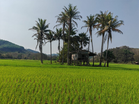 ORLA Tours Laos-琅勃拉邦必去景点