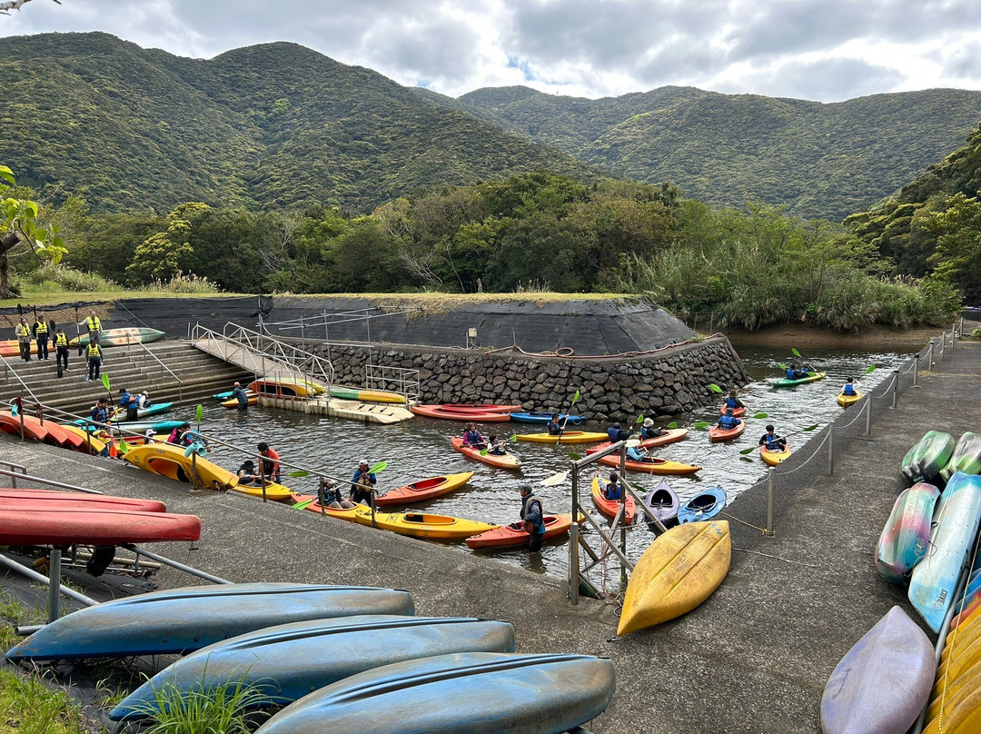 Kuroshio no Mori Mangrove Park-奄美市必去景点