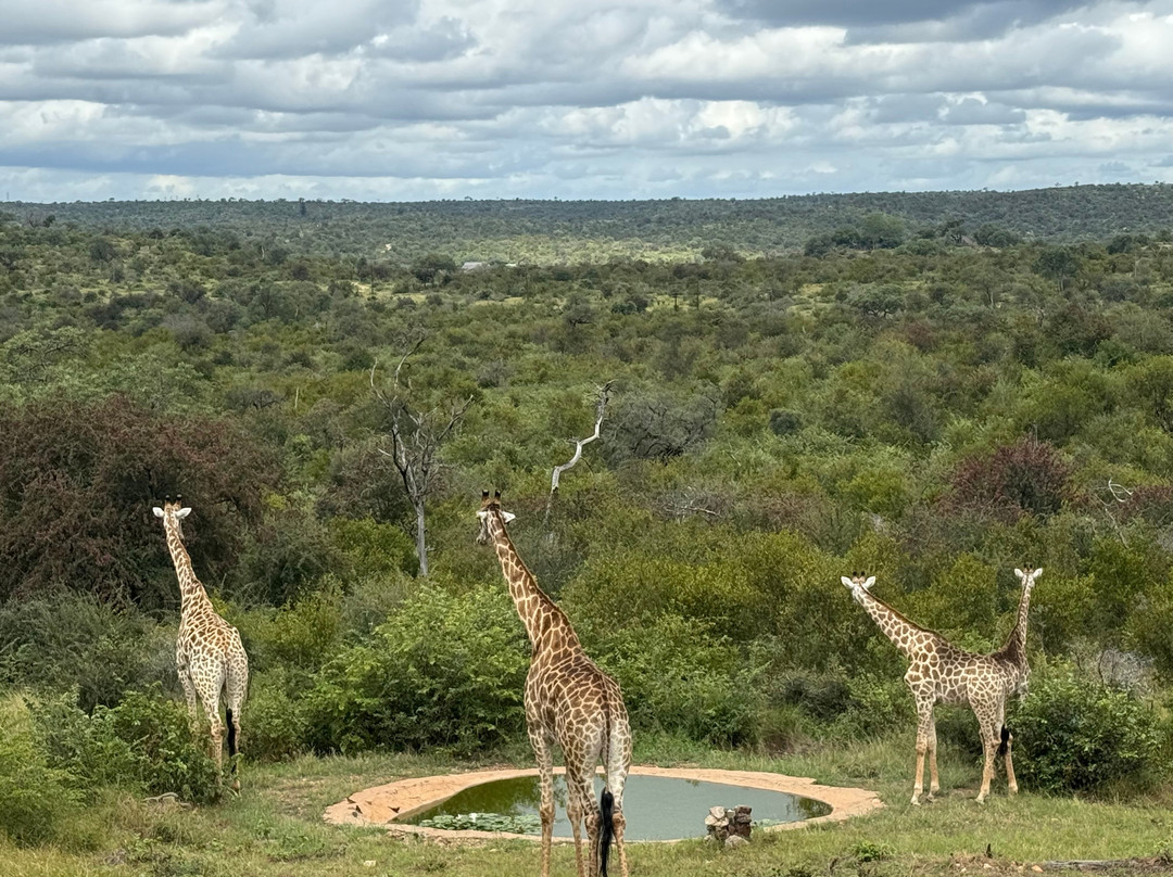 卡萨特甘姆山林小屋主图