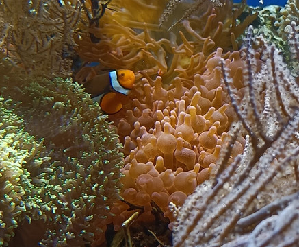 Tiergarten Ulm-乌尔姆必去景点